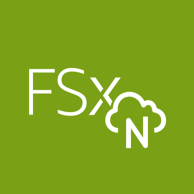 FSx for NetApp ONTAP